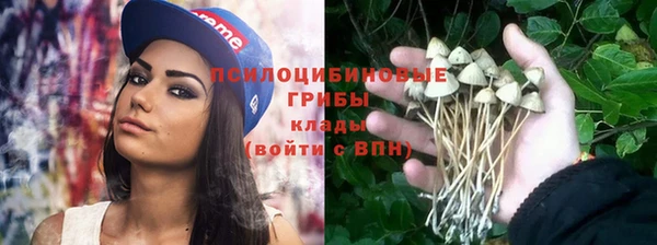 2c-b Алзамай