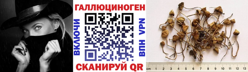 Псилоцибиновые грибы прущие грибы Шелехов