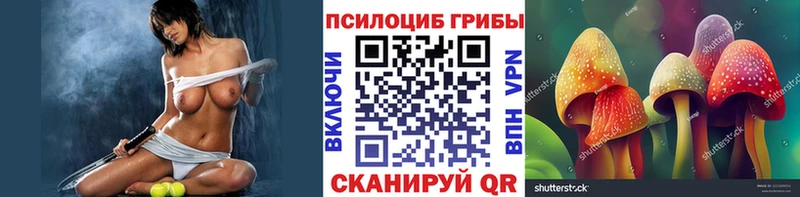 Псилоцибиновые грибы ЛСД Шелехов