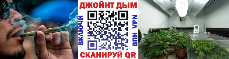 кракен вход  Шелехов  Канабис план 